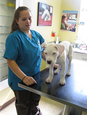 Littles Veterinary Hospital