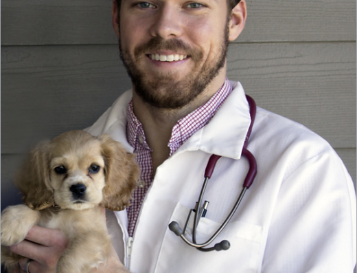 Murray Animal Hospital And Exotics