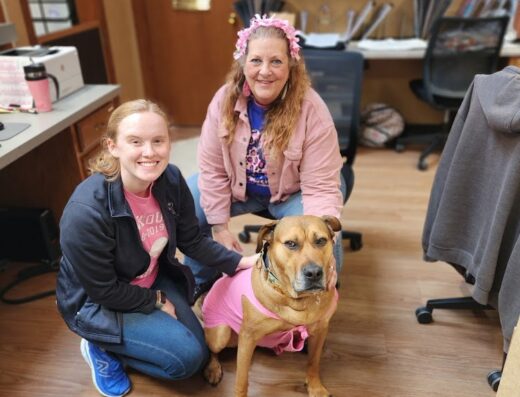 Newville Animal Hospital