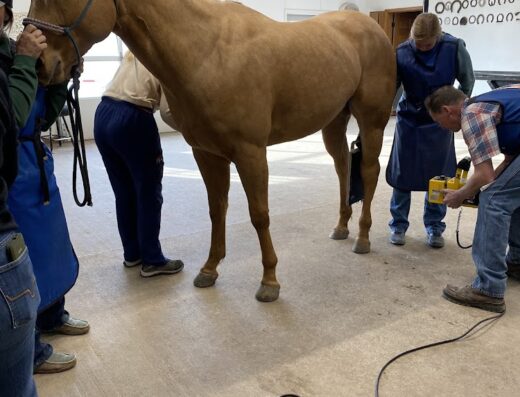 Northern Hills Veterinary Clinic Large Animal
