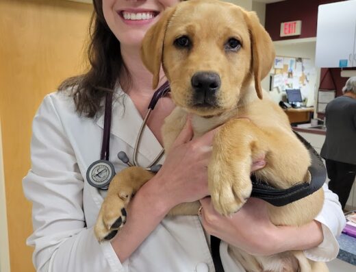 Orchard Veterinary Hospital