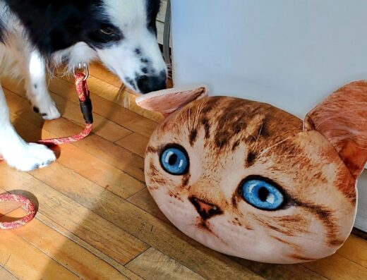 Otterside Animal Hospital