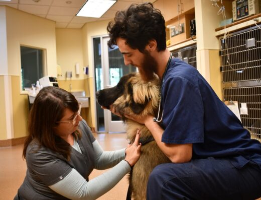 Peak Veterinary Referral Center