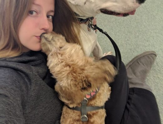 Piedmont Veterinary Service