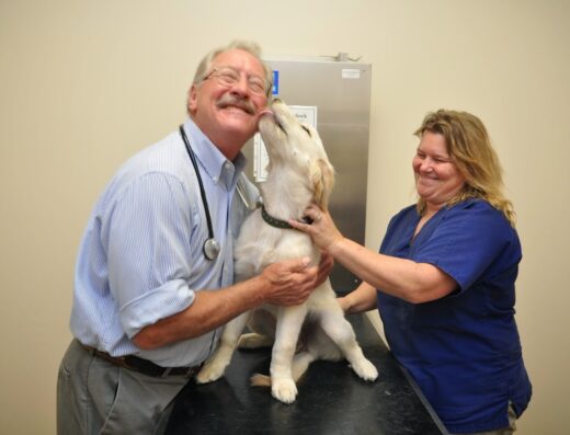 Portsmouth Veterinary Clinic