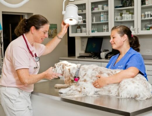 Providence River Animal Hospital