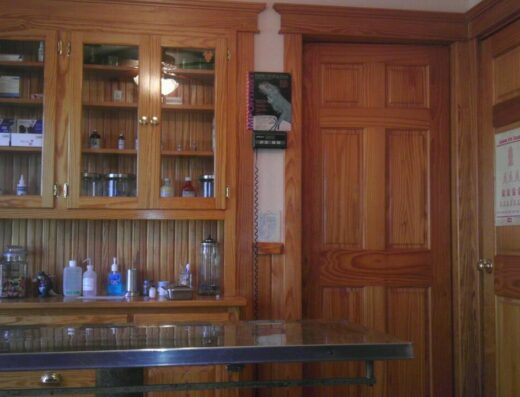 Raphine Animal Clinic