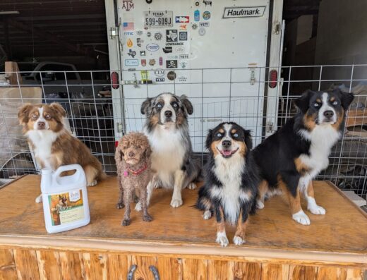 Republic Of Texas Veterinary