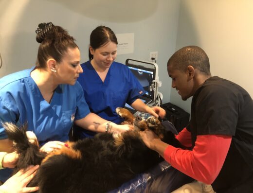 Rhode Island Animal Medical Center