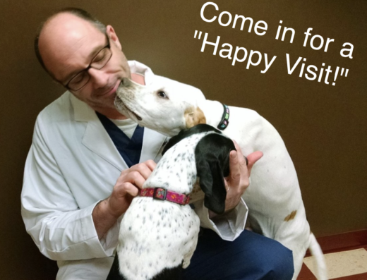 Rutland Veterinary Clinic Surgical Center