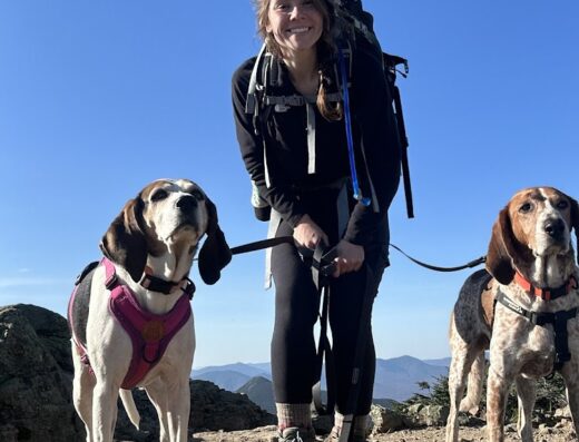 Ryegate Small Animal Hospital