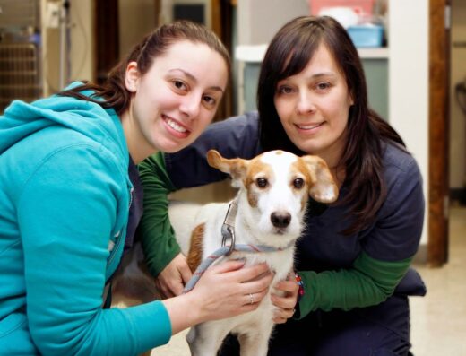 Sakonnet Veterinary Hospital