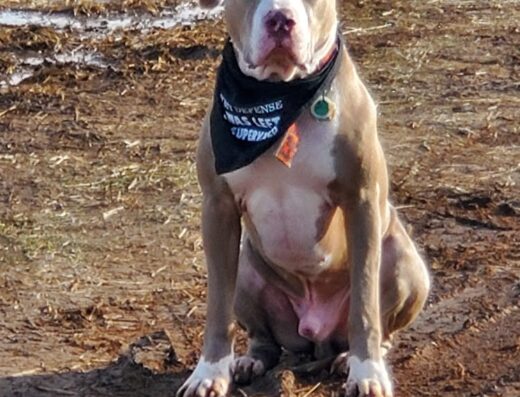 Salt Creek Veterinary Hospital Anson