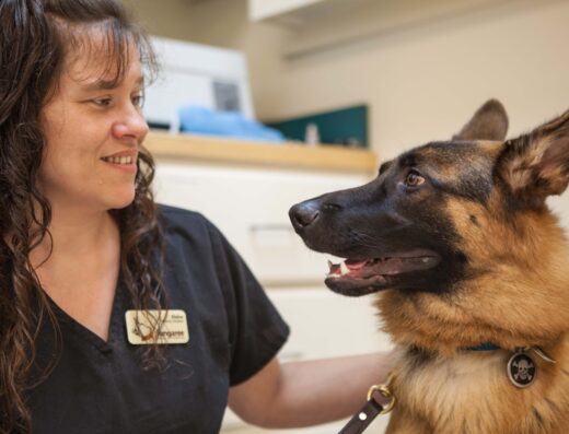 Sangaree Animal Hospital