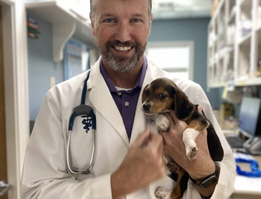 Santee Animal Hospital