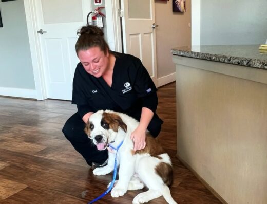 Simpsonville Animal Hospital