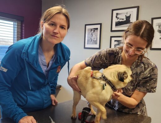 Sioux Nation Pet Clinic