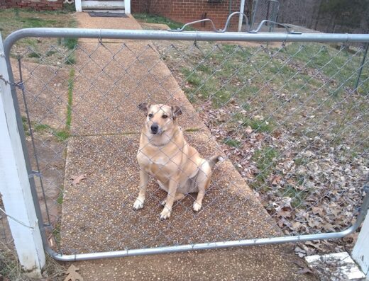 Slate River Veterinary Clinic