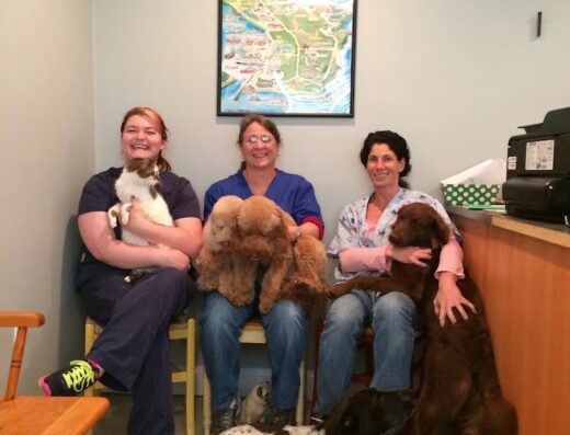 South Bay Veterinary Clinic