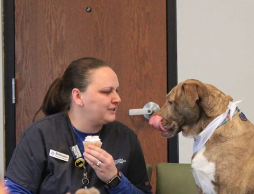 South Carolina Veterinary Specialists Emergency Care