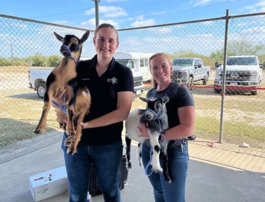 South Texas Veterinary Clinic