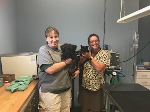 Spears Creek Veterinary Clinic