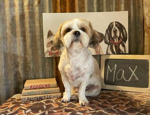 Sweetwater Veterinary Hospital