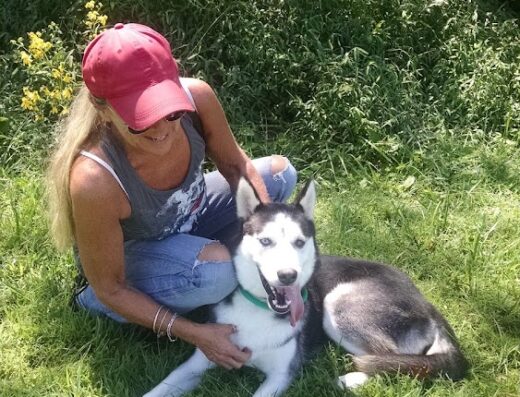 Tennessee Veterinary Care