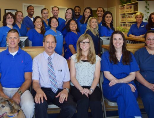 Texas Veterinary Hospitals