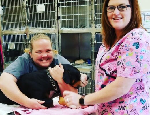 Texas West Animal Health