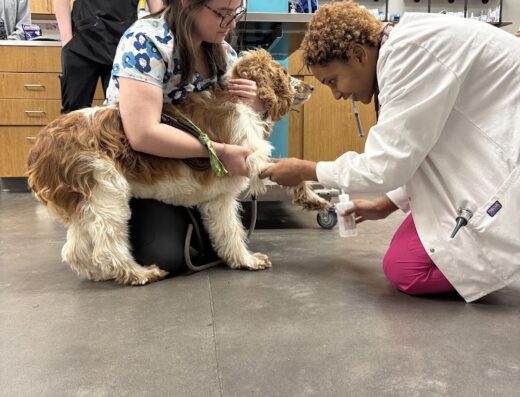 The Pet Space Veterinary Hospital