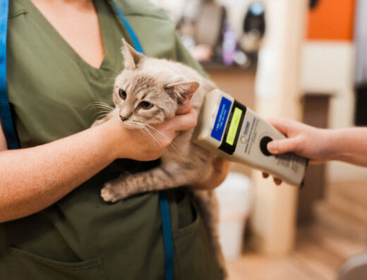 Tri County Veterinary Clinic