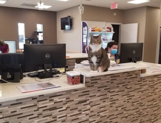 Two Notch Road Animal Clinic