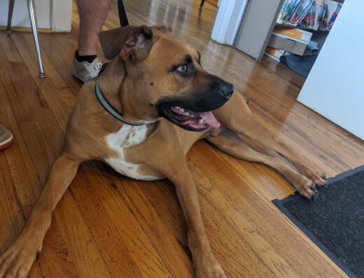 Veterinary Care Center