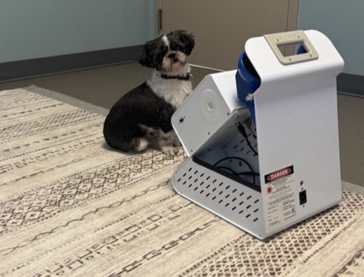 Veterinary Rehabilitation Services Of Virginia At Fredericksburg