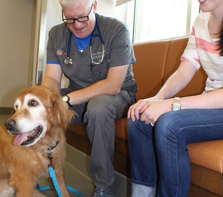 Veterinary Specialists Of North Texas