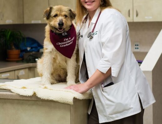 Virginia Veterinary Centers Midlothian