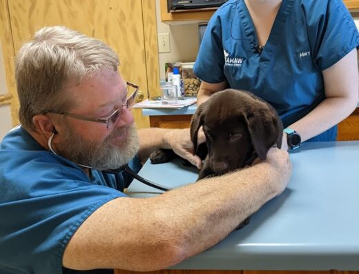 Waccamaw Regional Veterinary Center