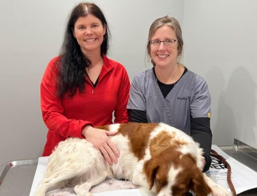 Wagener Animal Clinic