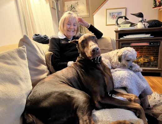 Warren Animal Hospital