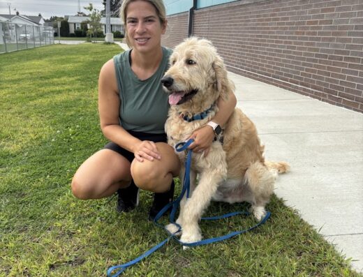 Warwick Petmedic Urgent Care Vet Clinic