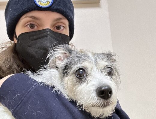 West Greenwich Animal Hospital