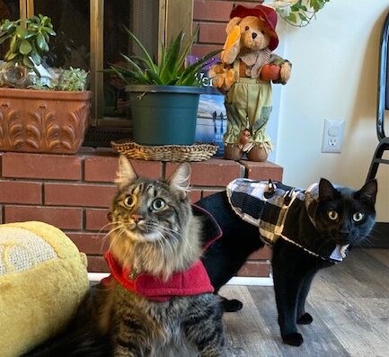 West River Valley Veterinary Service