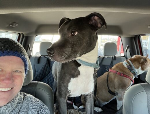 Westminster Animal Hospital