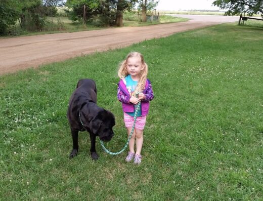 Windhorse Veterinary Clinic