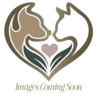 Pine Street Animal Clinic