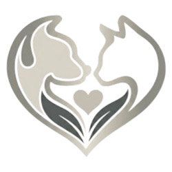 Man’s Best Friend – Houston